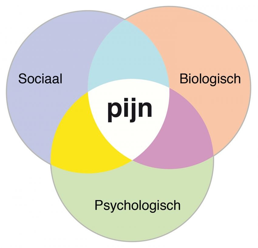 biopsychosociaal model