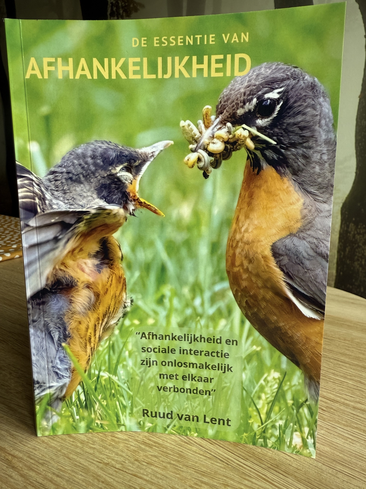 https://www.ruudvanlent.nl/images834Hj//img1108-NdcEJHGB-_HR.jpeg