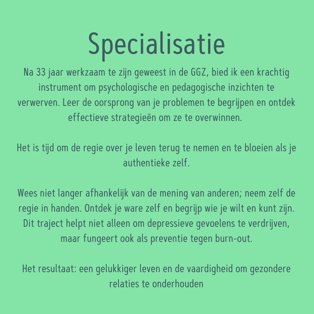 https://www.ruudvanlent.nl/images834Hj//lezingonderzoeknaarexplosiefgedraghoogbegaafdekinderennovilo20199-wl4CfPBD-_HR.jpg